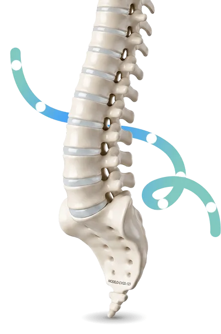 Ilustración 3D de columna vertebral con arco de salud